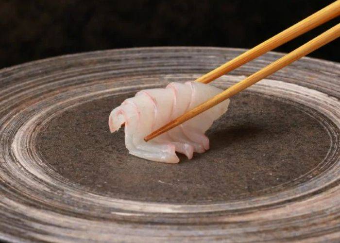 A serving of sashimi at Sushi Gotoroppo, placed in the center of an eye-catching serving plate with a spiral pattern.